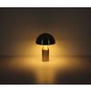 Lampe Champignon  Atoma Lampe à poser Luminaires Globo Lighting Nickel mat, 2 lumières