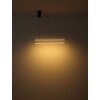 Kayson Suspension Luminaires Globo Lighting LED Noir, 1 lumière