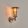 Forli Lampe murale d´extérieur Argenté, 1 lumière