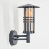 Forli Lampe murale d´extérieur Anthracite, 1 lumière