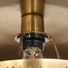 Brass Applique murale Luminaires Steinhauer Laiton, 1 lumière