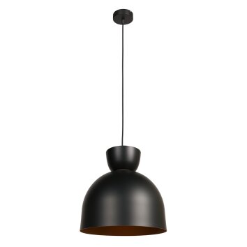 Skandina Suspension Luminaires Steinhauer Or, Noir, 1 lumière