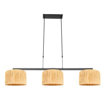 Stang Suspension Luminaires Steinhauer Noir, 3 lumières