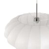 Light Suspension Luminaires Steinhauer Acier brossé, 1 lumière