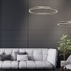 Ringlux Suspension Luminaires Steinhauer LED Noir, 2 lumières