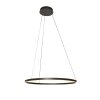 Ringlux Suspension Luminaires Steinhauer LED Noir, 2 lumières