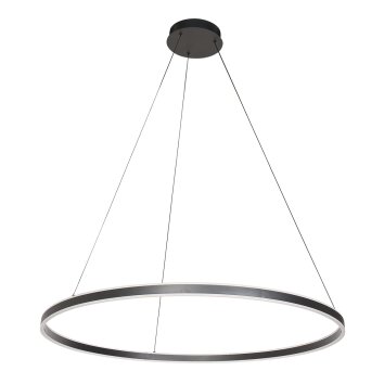 Ringlux Suspension Luminaires Steinhauer LED Noir, 2 lumières