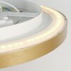 Flady Plafonnier Luminaires Steinhauer LED Or, 2 lumières