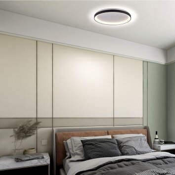 Ringlede Plafonnier Luminaires Steinhauer LED Noir, 1 lumière