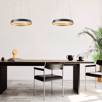 Ringlux Suspension Luminaires Steinhauer LED Noir, 1 lumière