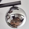 Gastor Plafonnier, Boule lumineuse Chrome, Fumé, 10 lumières