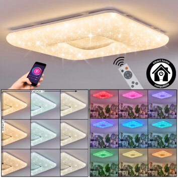 Flavlev Plafonnier LED Argenté, Blanc, 1 lumière, Télécommandes