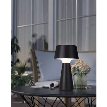 HUESA Lampe à poser Luminaires Eglo LED Noir, 1 lumière