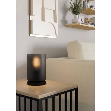 COLOMERA Suspension Luminaires Eglo Noir, 1 lumière