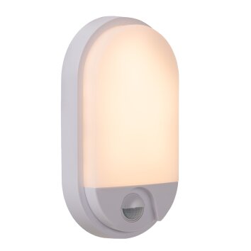 IR Lampe murale d´extérieur Luminaires Lucide LED Blanc, 1 lumière, Détecteur de mouvement