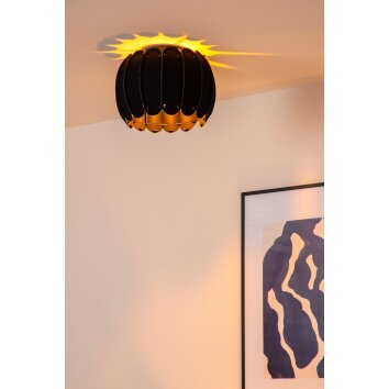 SPENCER Plafonnier Luminaires Lucide Noir, 1 lumière