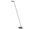 LAVALE Lampadaire Luminaires Lucide LED Noir, 1 lumière