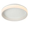 ESTREJA Plafonnier Luminaires Lucide LED Blanc, 1 lumière