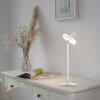 AMAG Lampe à poser Luminaires Leuchten Direkt LED Blanc, 1 lumière