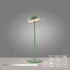 AMAG Lampe à poser Luminaires Leuchten Direkt LED Vert, 1 lumière