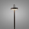 AMAG Lampadaire Luminaires Leuchten Direkt LED Noir, 1 lumière