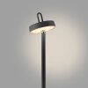 AMAG Lampadaire Luminaires Leuchten Direkt LED Noir, 1 lumière