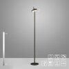 AMAG Lampadaire Luminaires Leuchten Direkt LED Noir, 1 lumière