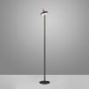 AMAG Lampadaire Luminaires Leuchten Direkt LED Noir, 1 lumière