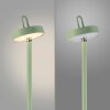 AMAG Lampadaire Luminaires Leuchten Direkt LED Vert, 1 lumière