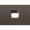 Jachenau Plafonnier, Applique murale Luminaires LCD LED Anthracite, 1 lumière