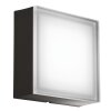 Jachenau Plafonnier, Applique murale Luminaires LCD LED Anthracite, 1 lumière