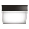 Jachenau Plafonnier, Applique murale Luminaires LCD LED Anthracite, 1 lumière