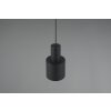 Agudo Suspension Luminaires Trio Noir, 1 lumière