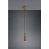 Agudo Suspension Luminaires Trio Brun, 1 lumière