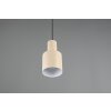 Agudo Suspension Luminaires Trio Beige, 1 lumière