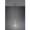 Agudo Suspension Luminaires Trio Brun, 1 lumière