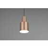 Agudo Suspension Luminaires Trio Brun, 1 lumière