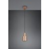 Agudo Suspension Luminaires Trio Brun, 1 lumière