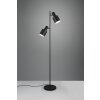 Agudo Lampadaire Luminaires Trio Noir, 2 lumières