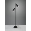 Agudo Lampadaire Luminaires Trio Noir, 2 lumières