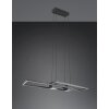 ALBANY Suspension Luminaires Trio LED Noir, 1 lumière, Télécommandes