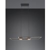 ALBANY Suspension Luminaires Trio LED Noir, 1 lumière, Télécommandes