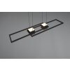 ALBANY Suspension Luminaires Trio LED Noir, 1 lumière, Télécommandes