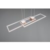 ALBANY Suspension Luminaires Trio LED Brun, 1 lumière, Télécommandes