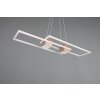 ALBANY Suspension Luminaires Trio LED Brun, 1 lumière, Télécommandes