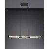 ALBANY Suspension Luminaires Trio LED Noir doré, 1 lumière, Télécommandes