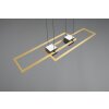 ALBANY Suspension Luminaires Trio LED Noir doré, 1 lumière, Télécommandes