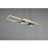 ALBANY Suspension Luminaires Trio LED Noir doré, 1 lumière, Télécommandes