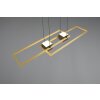 ALBANY Suspension Luminaires Trio LED Noir doré, 1 lumière, Télécommandes