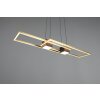 ALBANY Suspension Luminaires Trio LED Noir doré, 1 lumière, Télécommandes